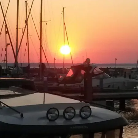 Seestern